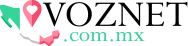 voznet.com.mx logo